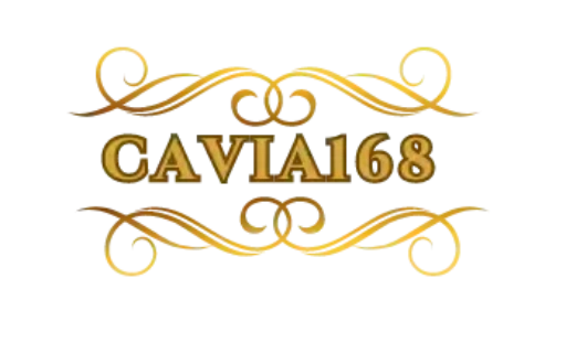 cavia168